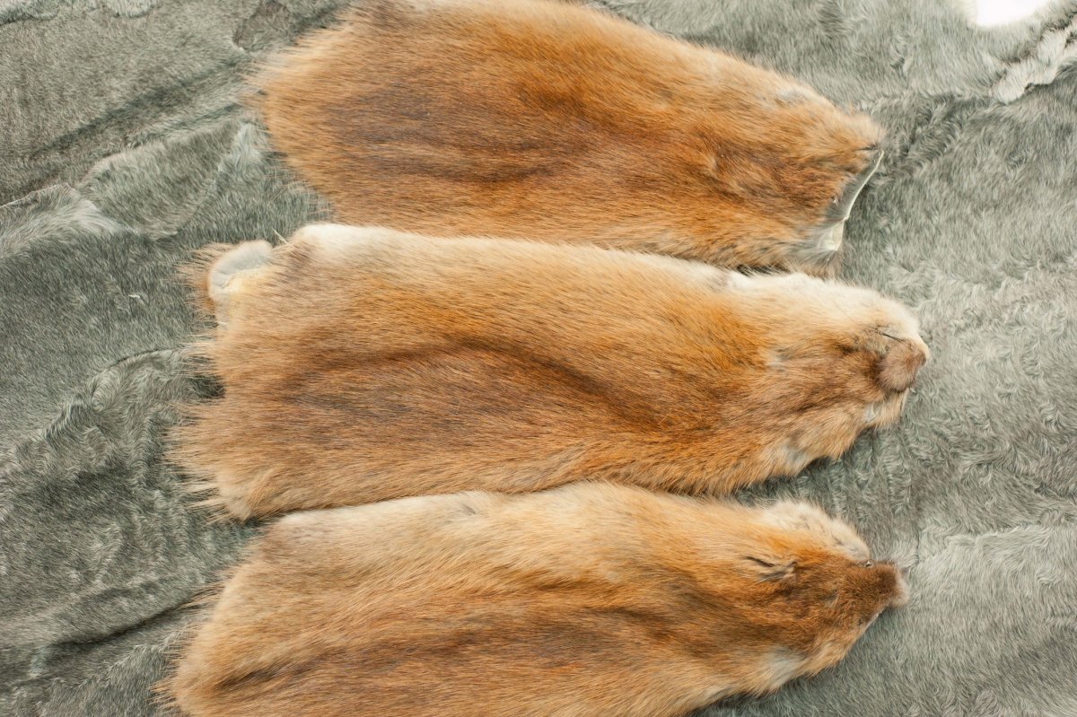 Мех нутрии ондатры