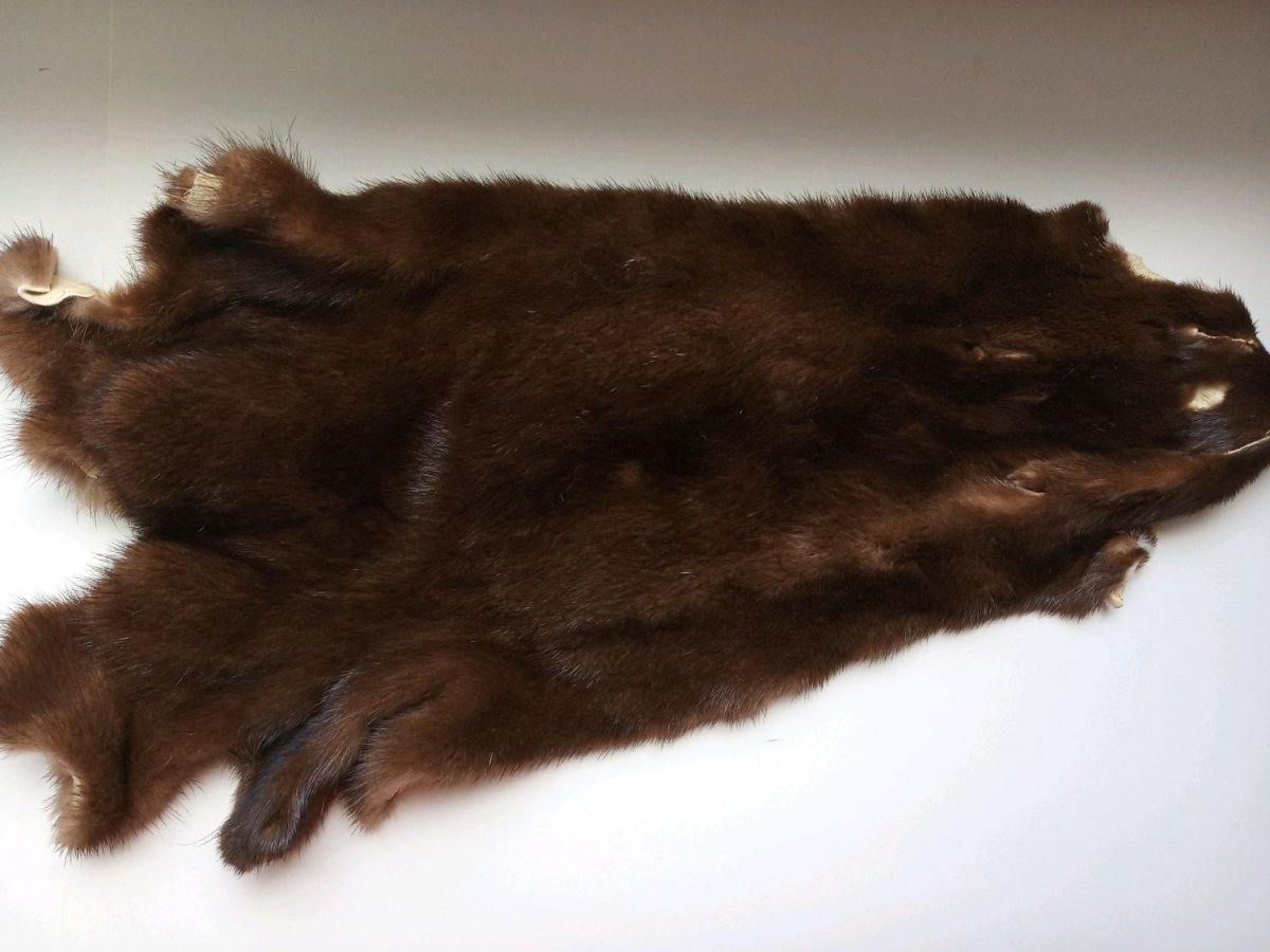Шкурки нутрии выделанные