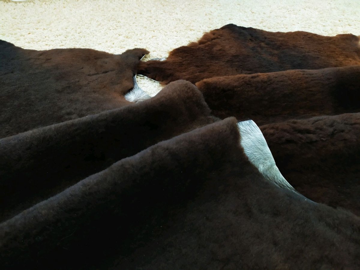 Palomino норка цвет