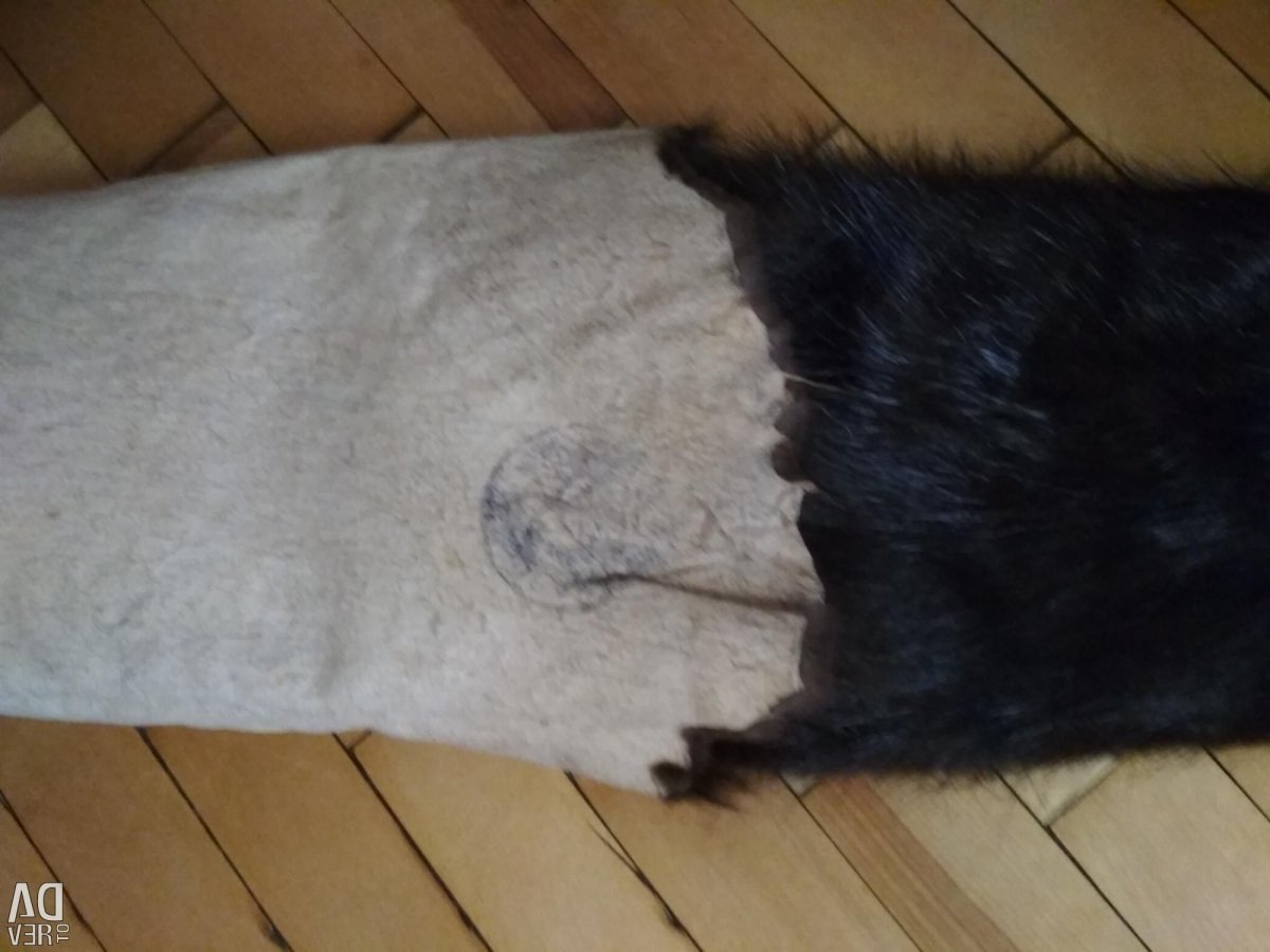 Мездра у нутрии