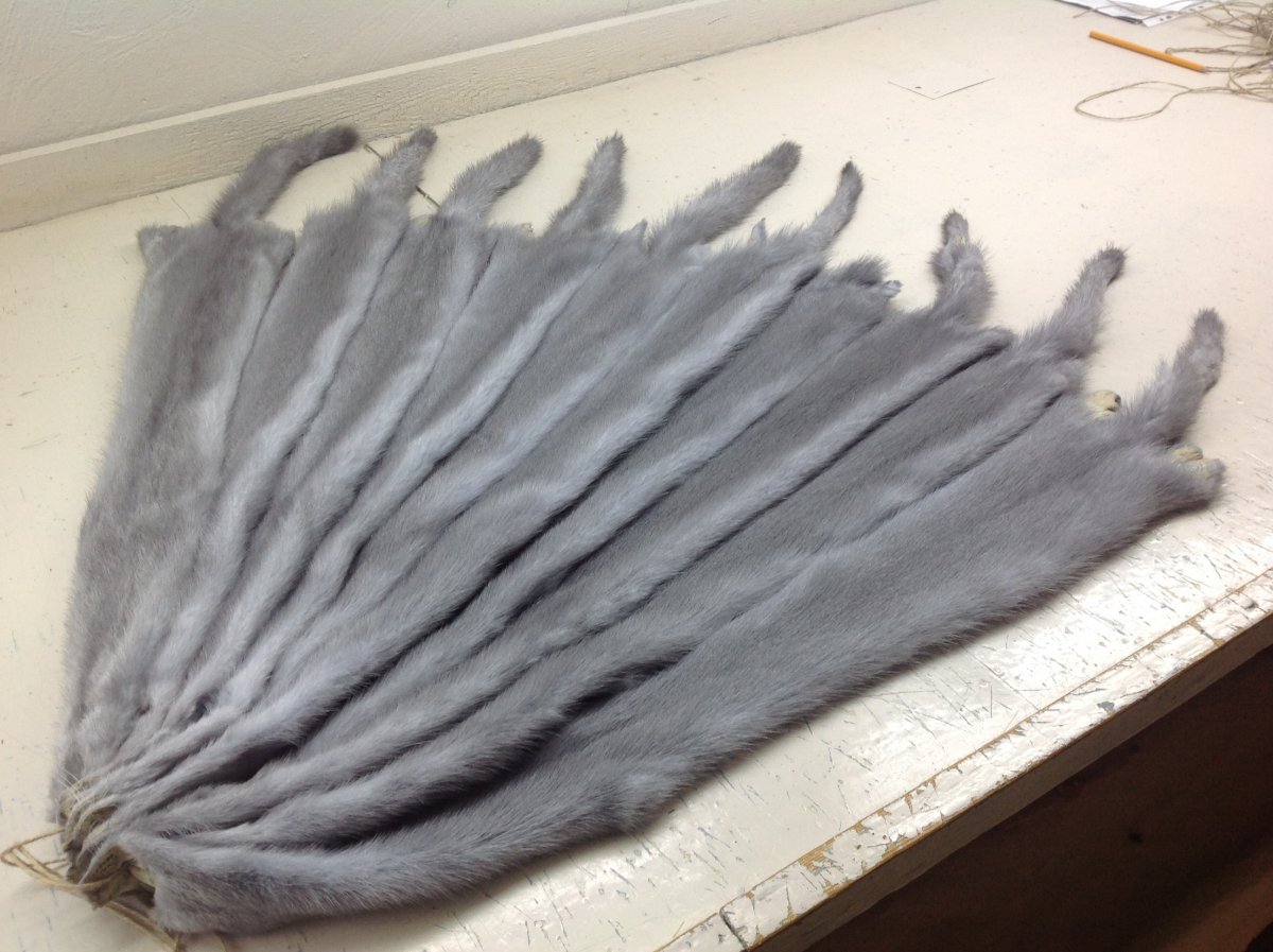 Шуба в роспуск Мездра