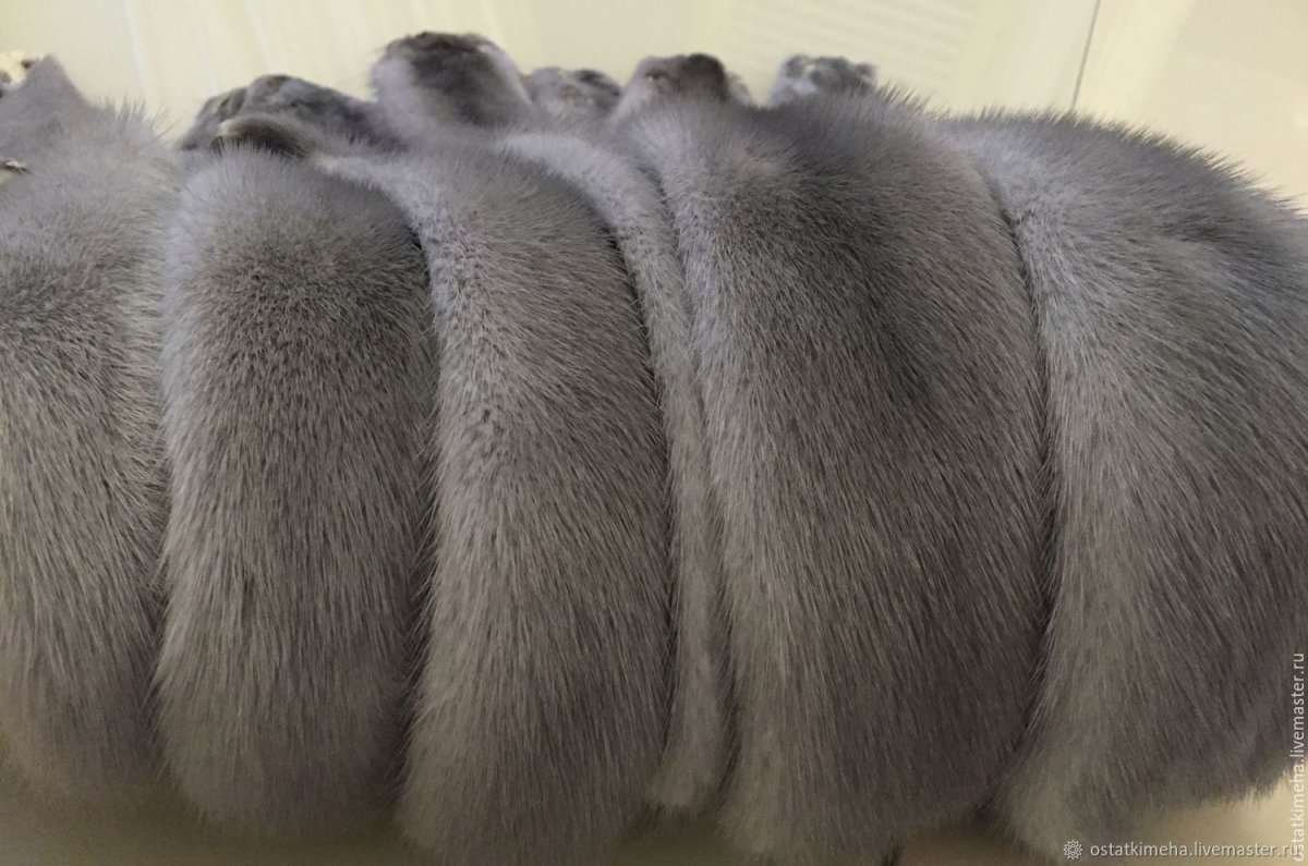 Сапфир норка шкура