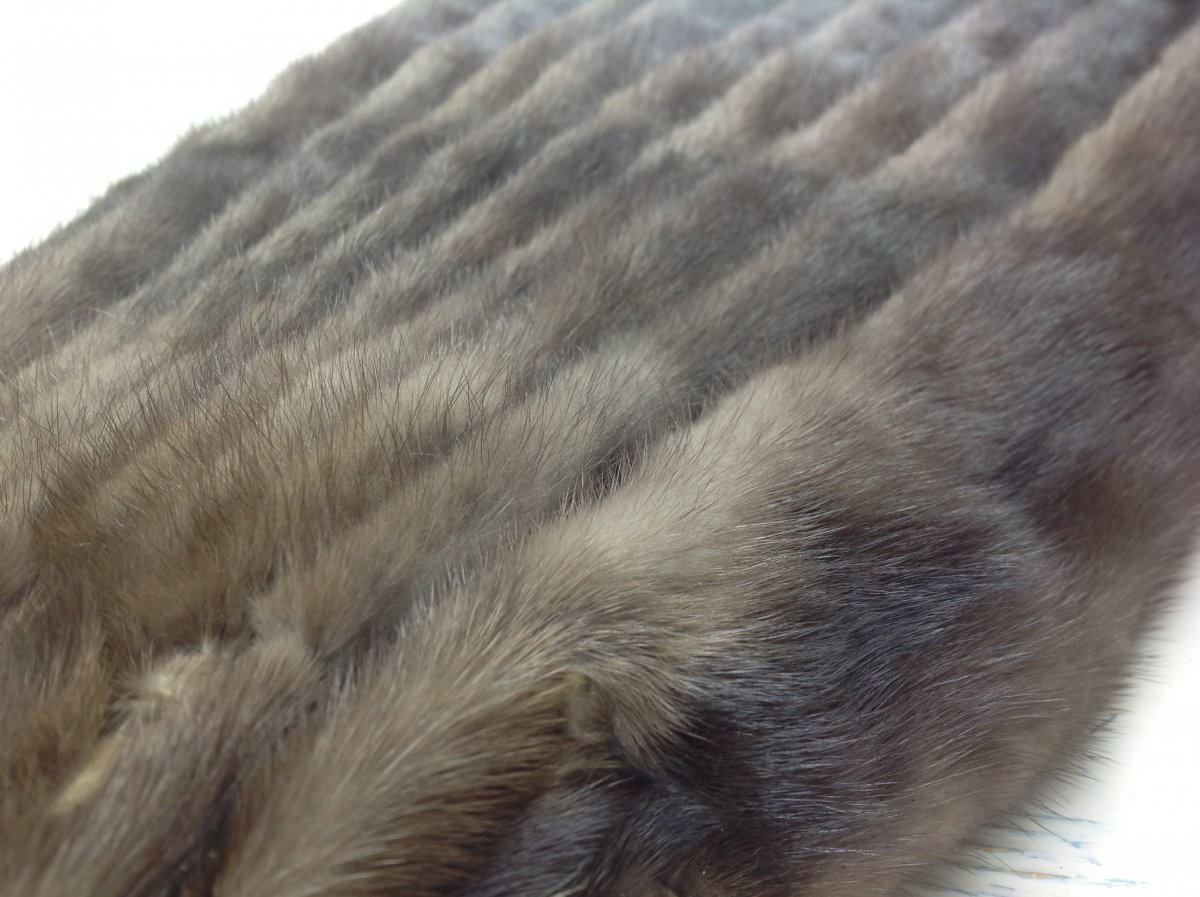 Мех норка самец