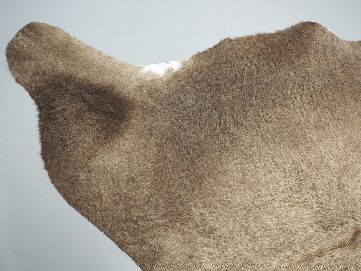 Шкура коровы светлая