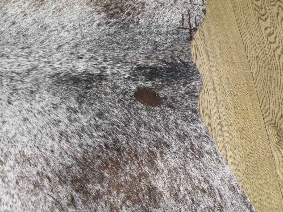 Голевая Мездра