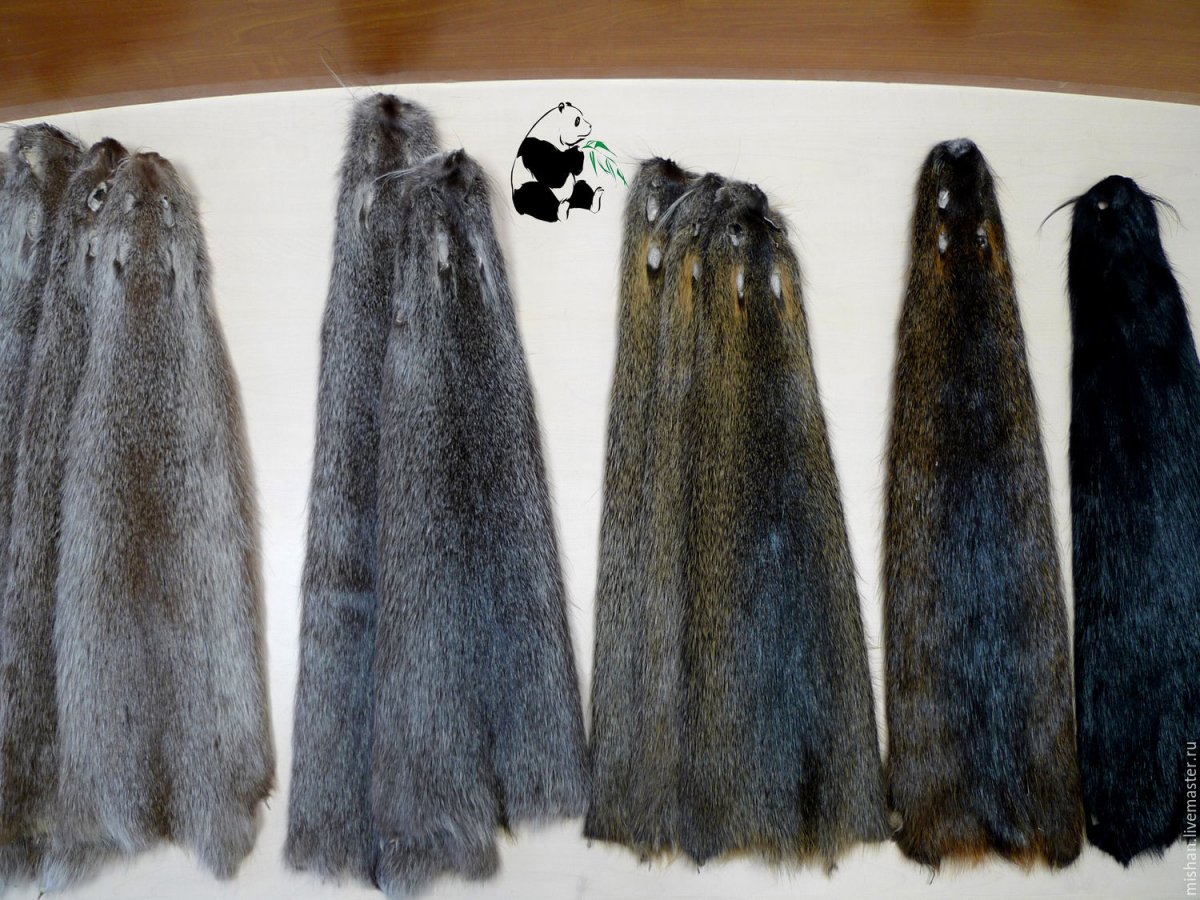 Мех дикой нутрии