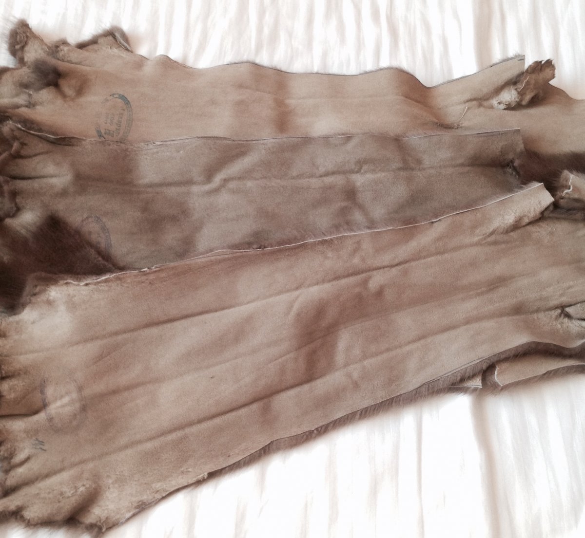 Что такое Мездра меха