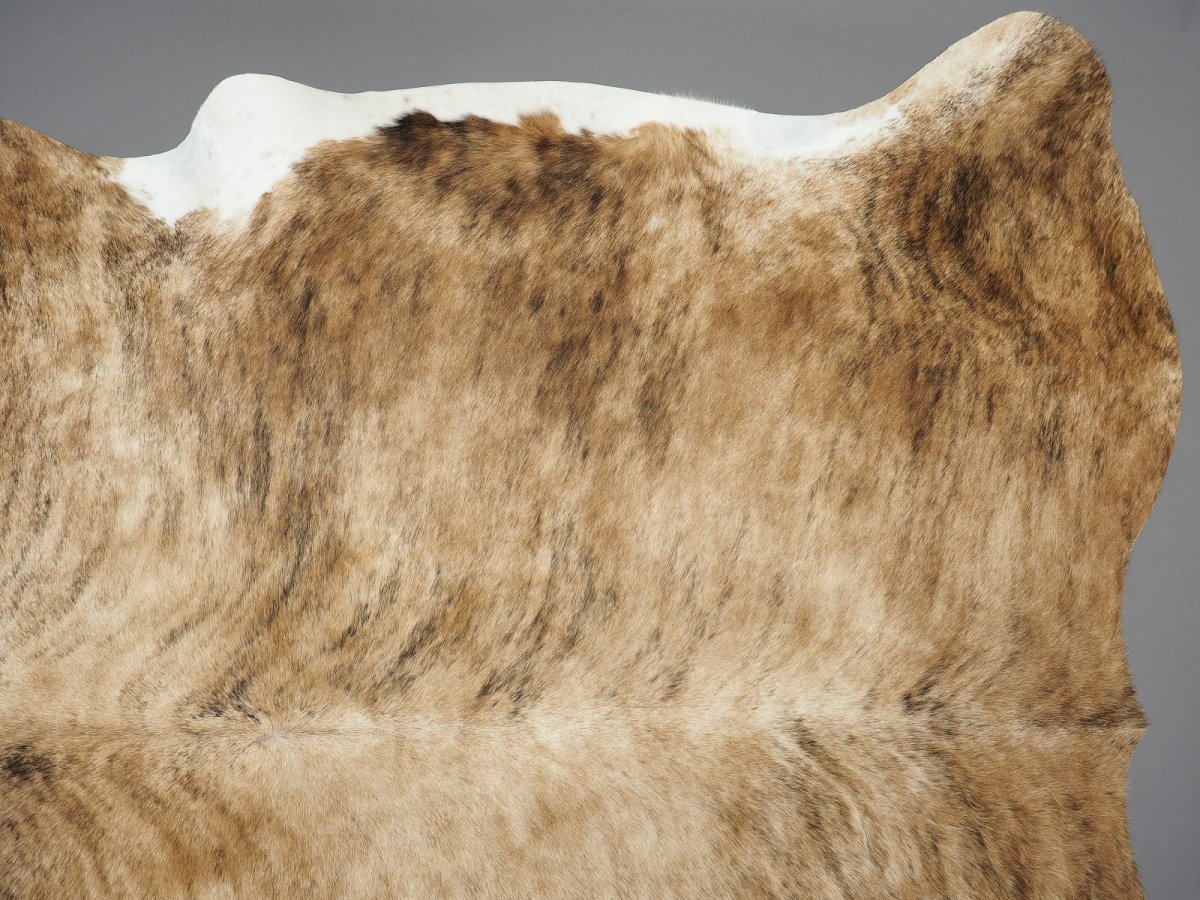 Мездра норковой шубы