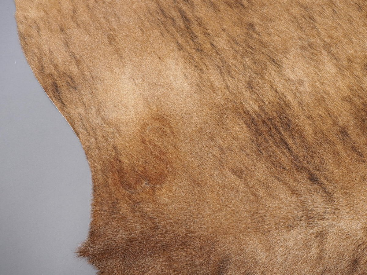 Старая Мездра