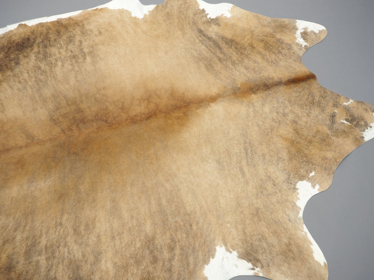 Мездра у крашенной норки