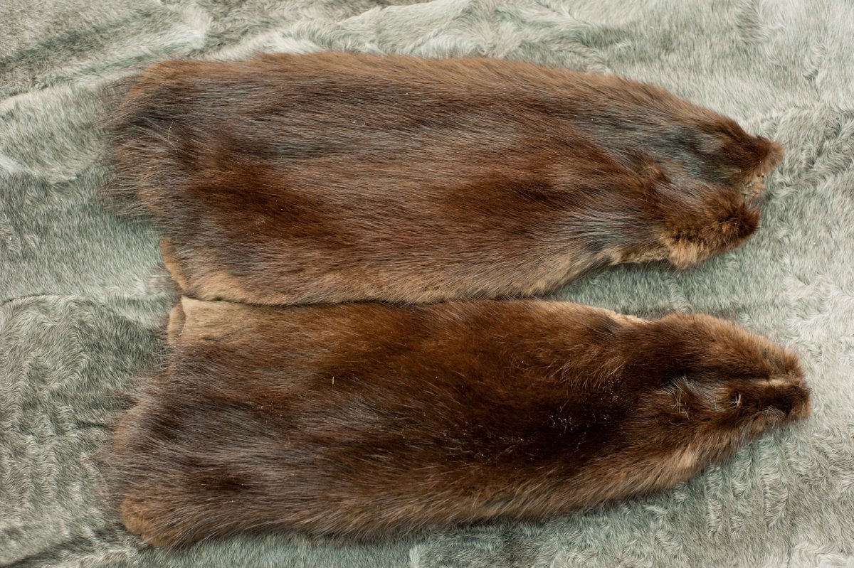 Мех Лесной куницы