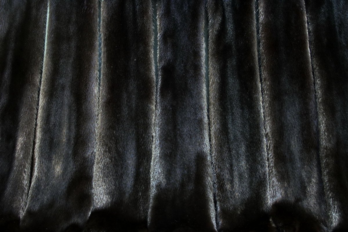 Мездра животное