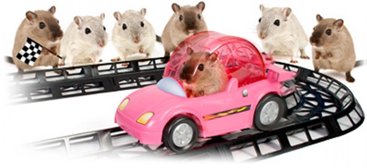 Машина для хомяков