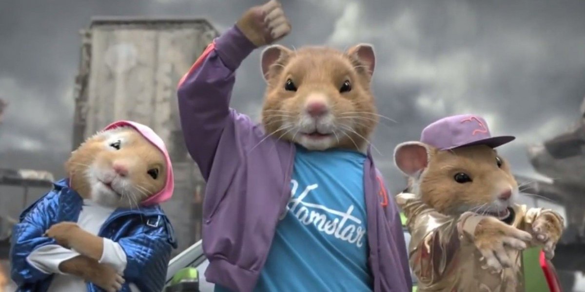 Хомяк путешественник