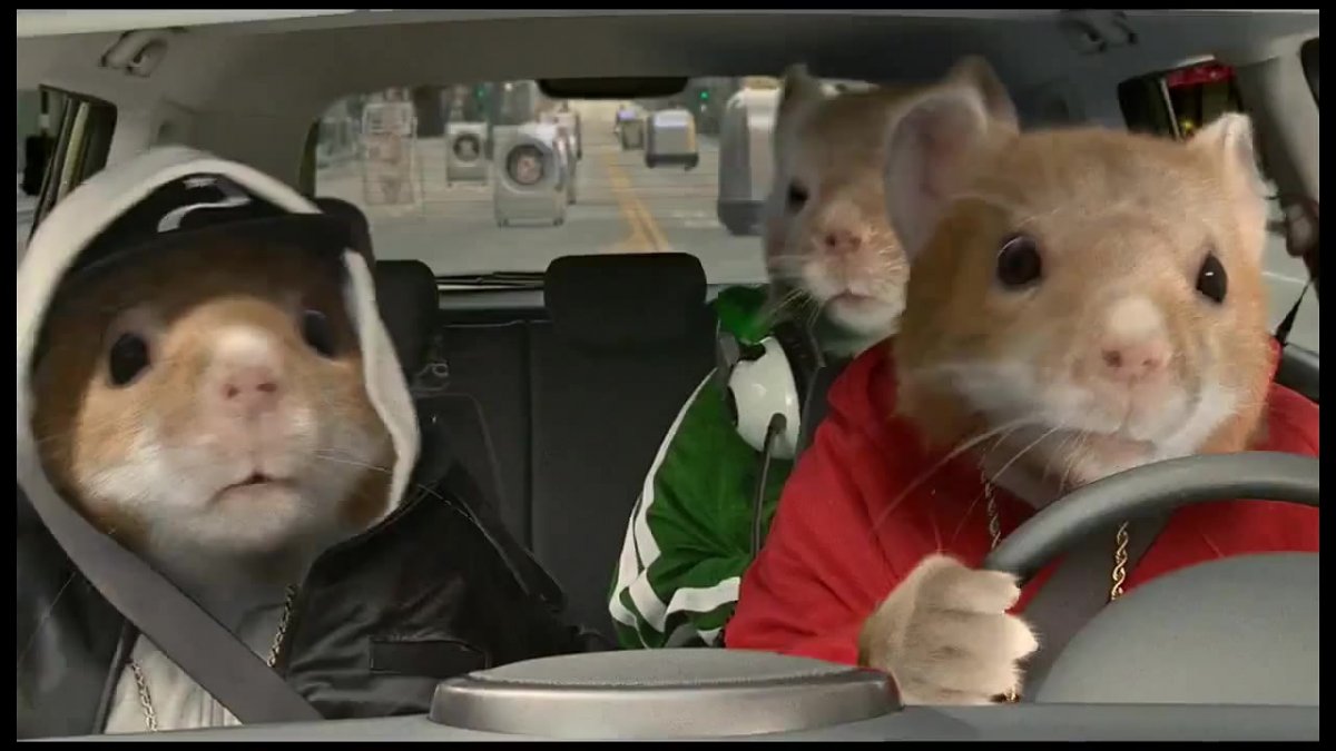 Хомяк за рулем