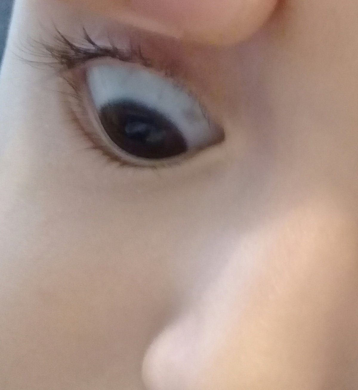 Глазки для белки