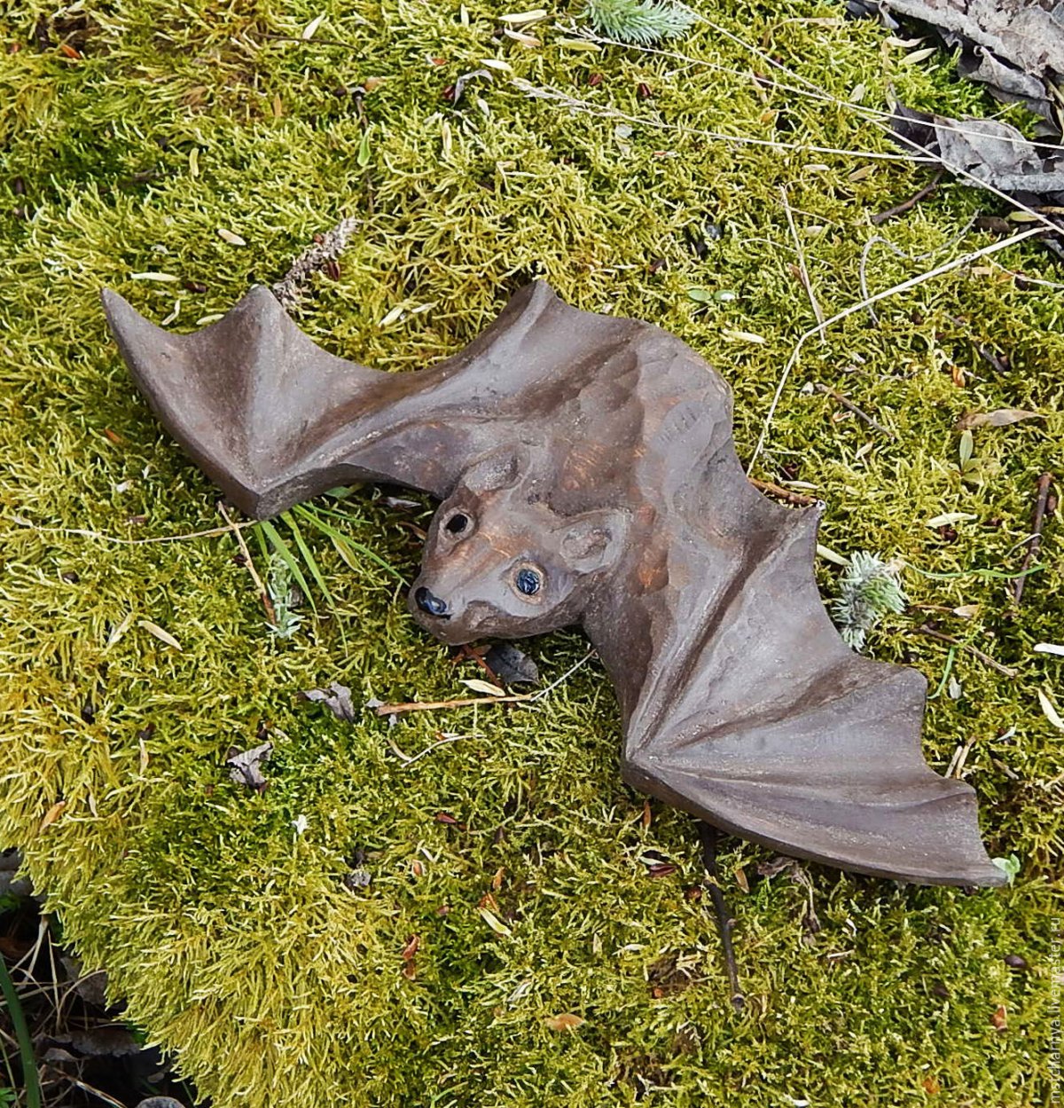 Летучие мыши которые пьют кровь