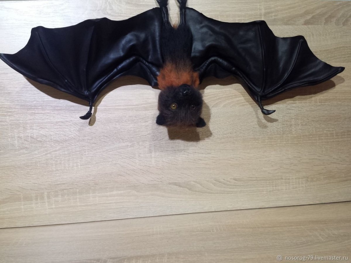 Маврикий летучие лисицы