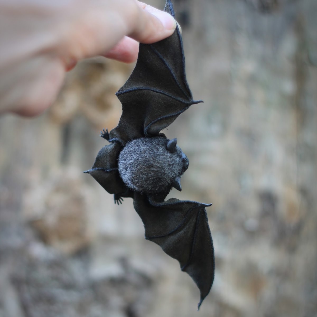 Вечерница малая дупло