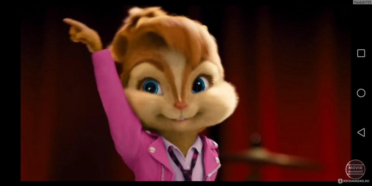 Бурундушки Британи