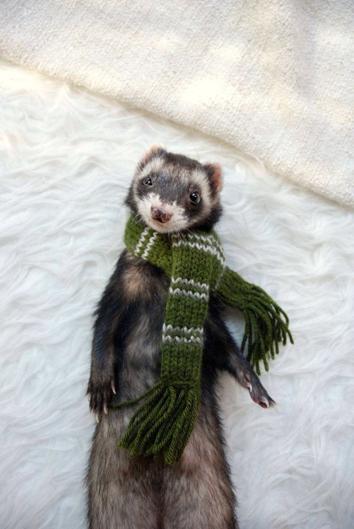 Драко Малфой вырезанные сцены