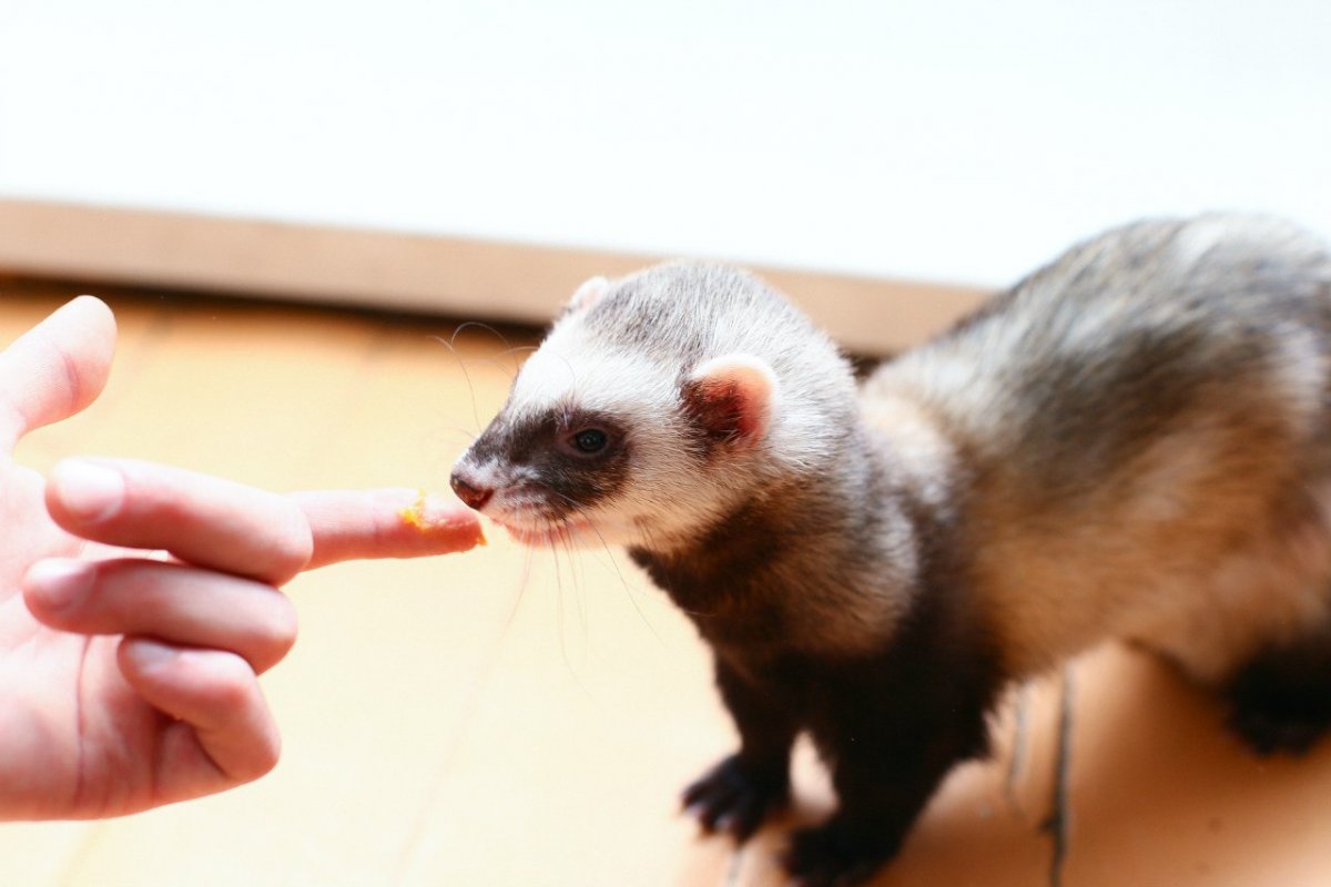 Драко Малфой плакат