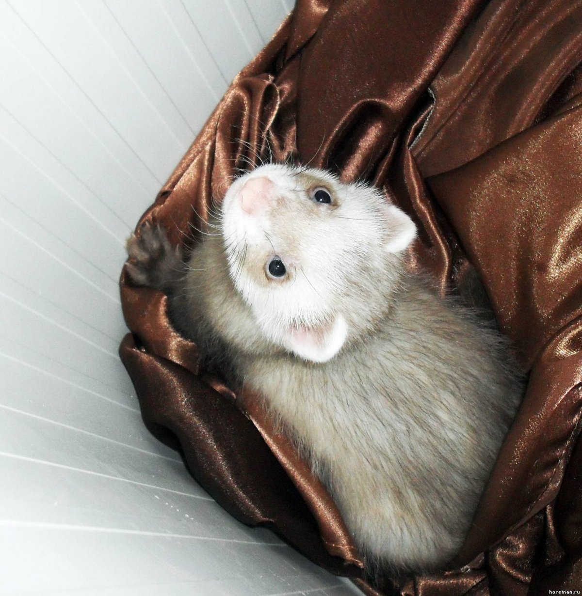 Гарри Поттер и Драко Малфой