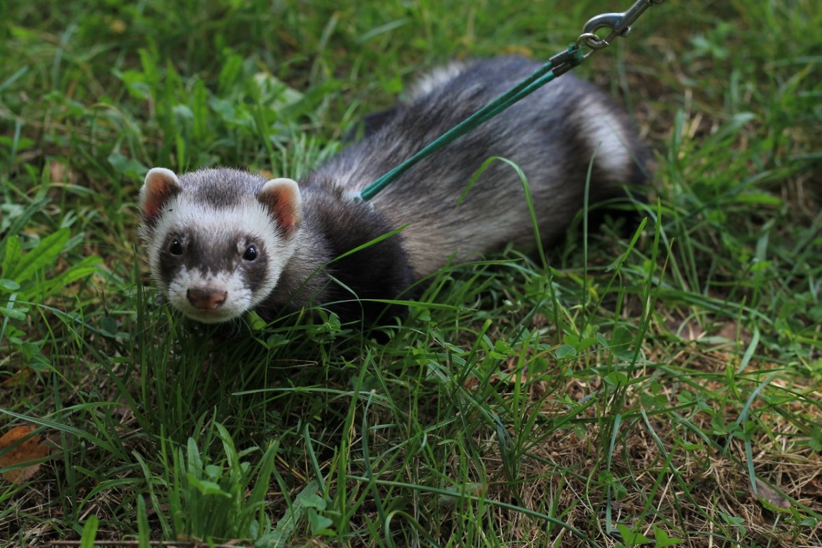 Драко Малфой 4 часть