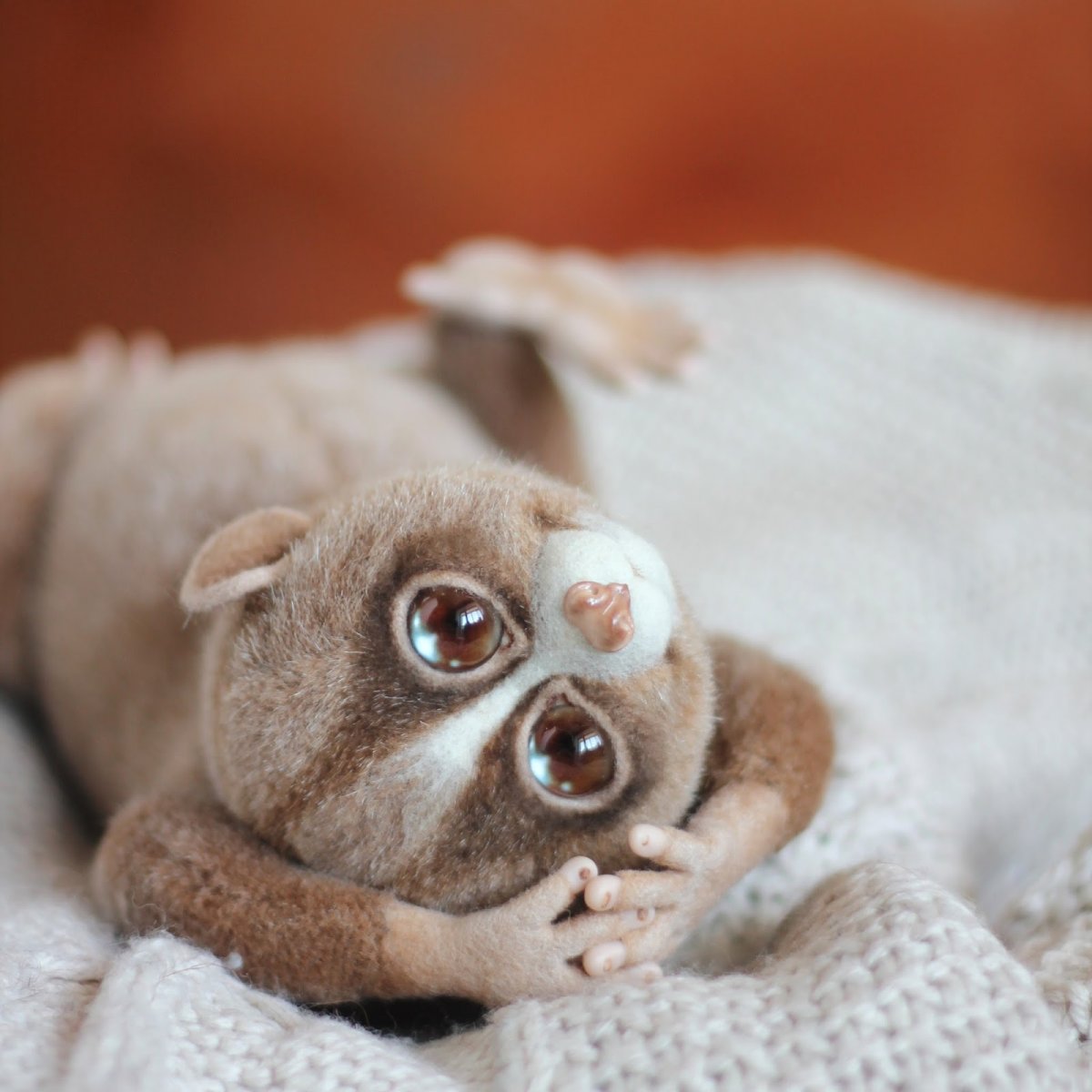 Лемур Лори Колори