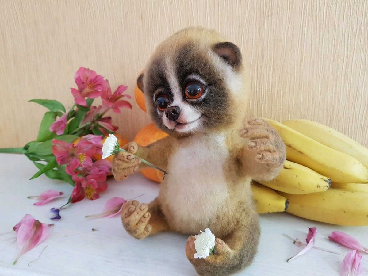 Толстый Лори