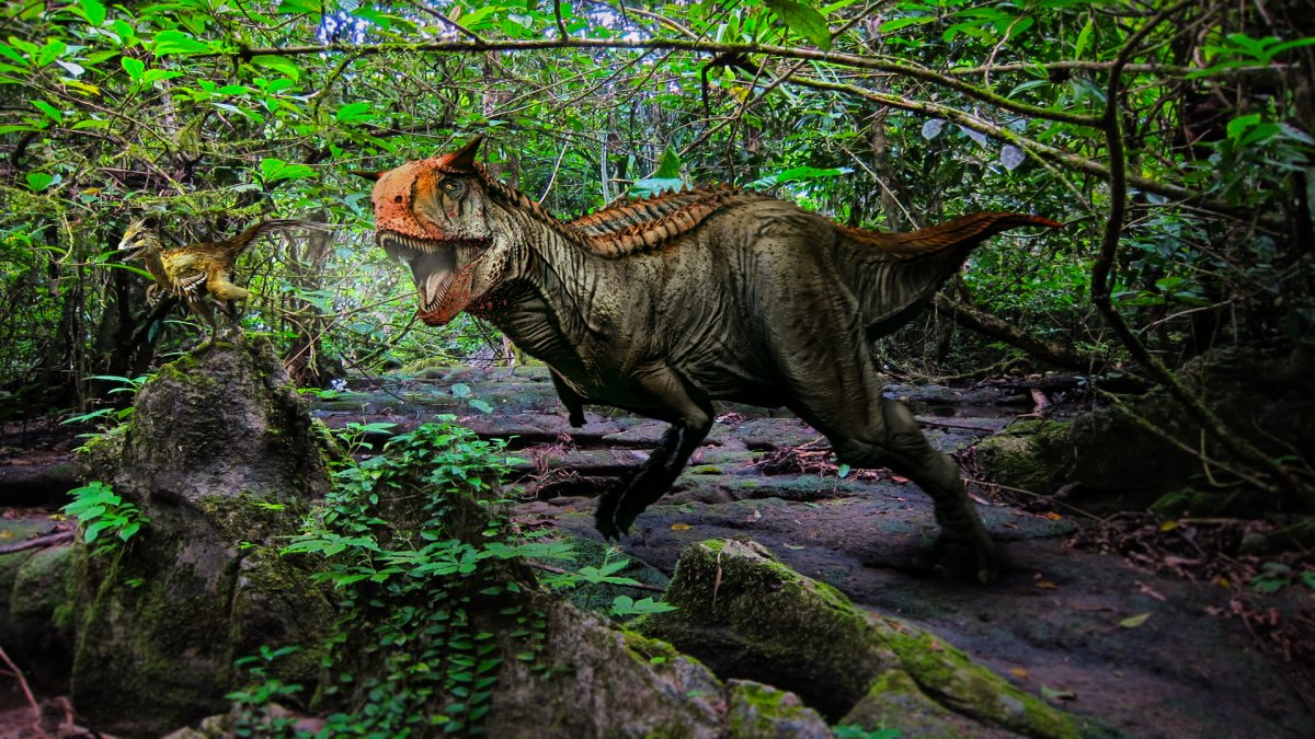 Динозавры картинки