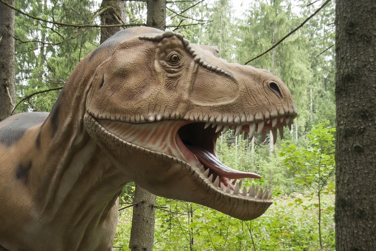 Парк Юрского периода Дино