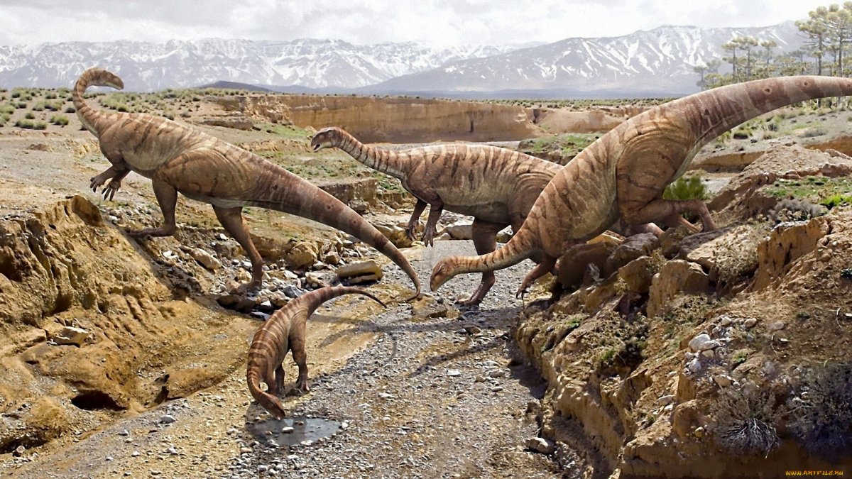 Животные до динозавров