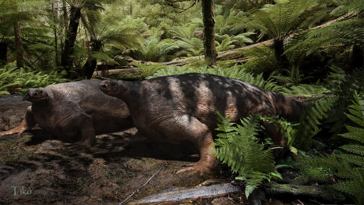 Динозавры котилоринх