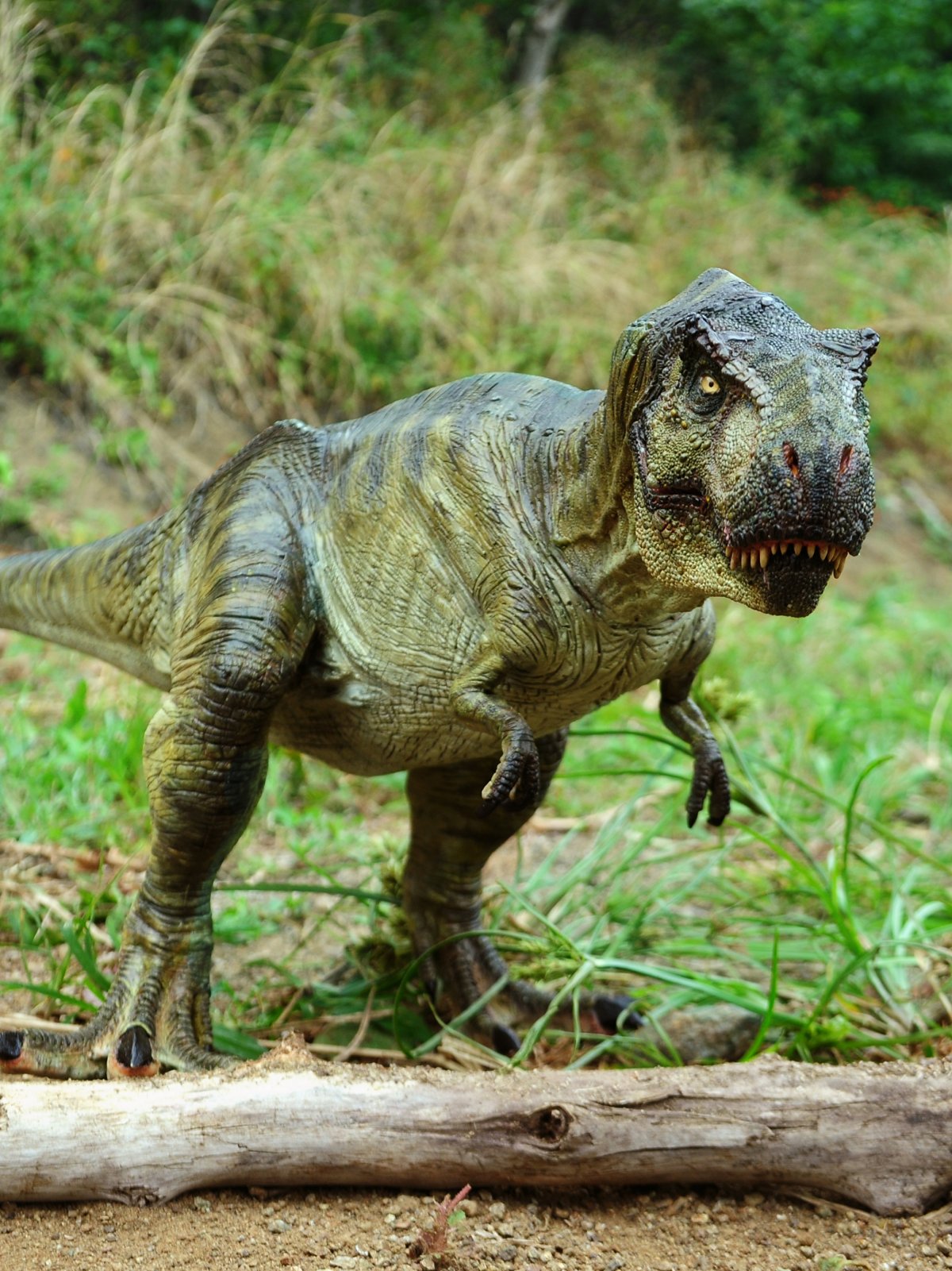 Тираннозавр рекс