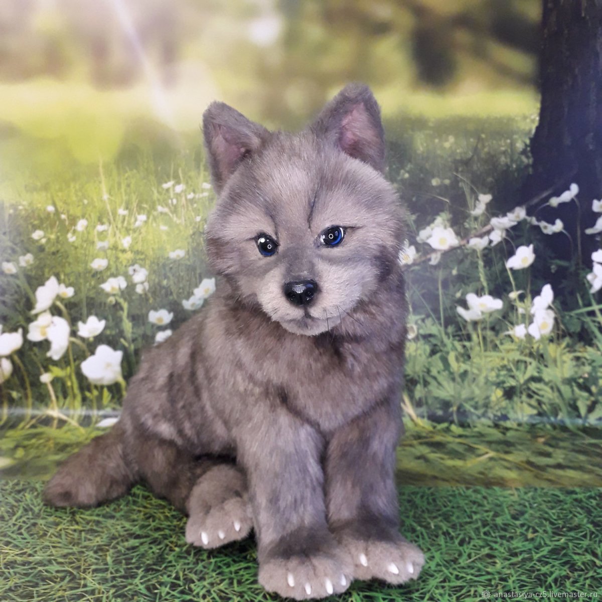 Пушистый Волчонок