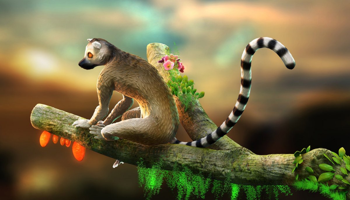 Лемур Мадагаскар