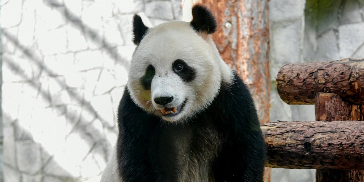 Московский зоопарк