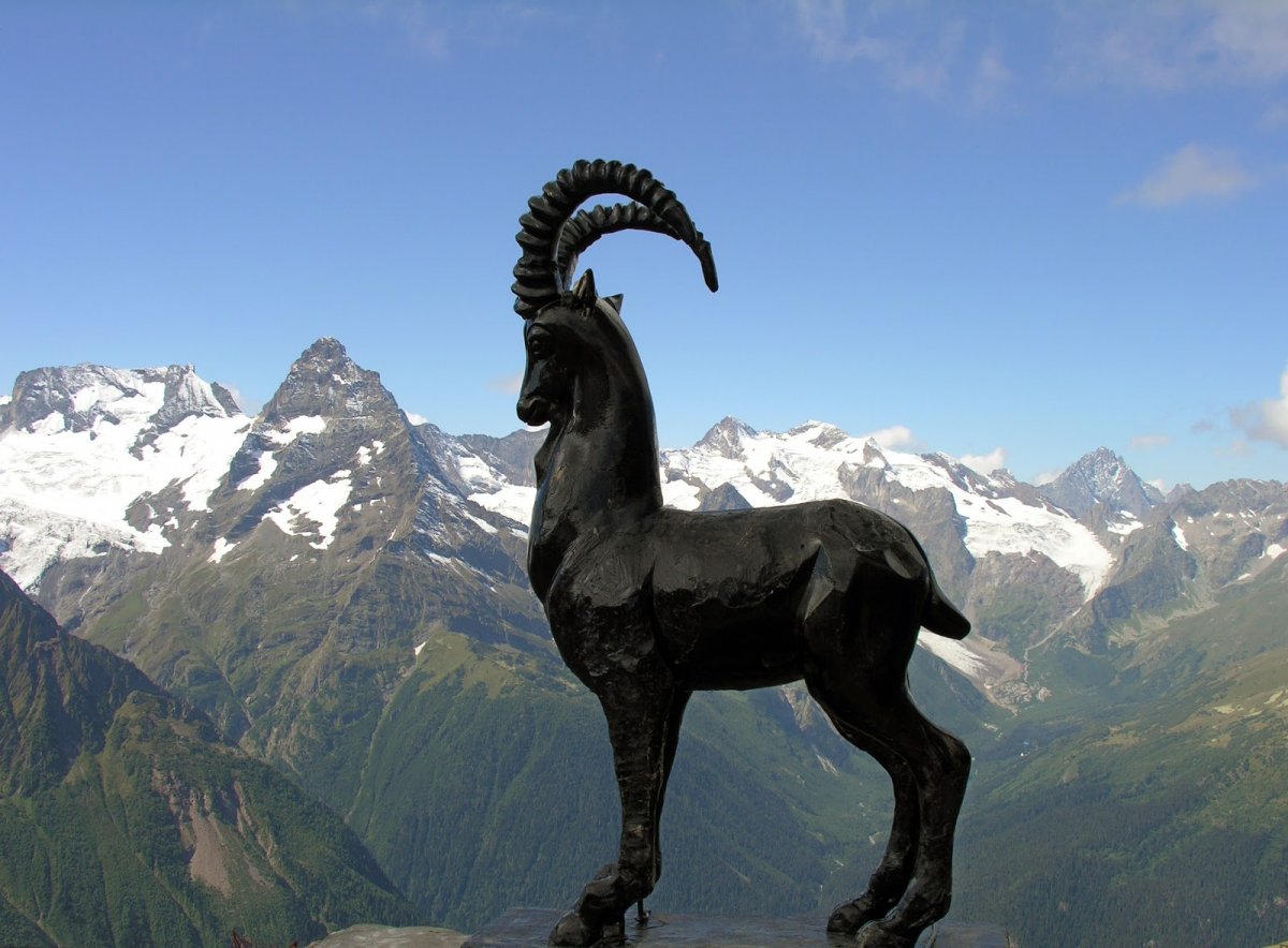 Дагестанский горный козел