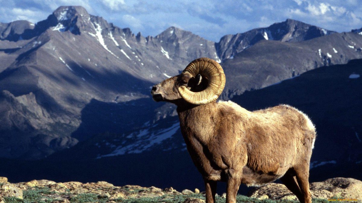 Западно-кавказский тур Тебердинский заповедник