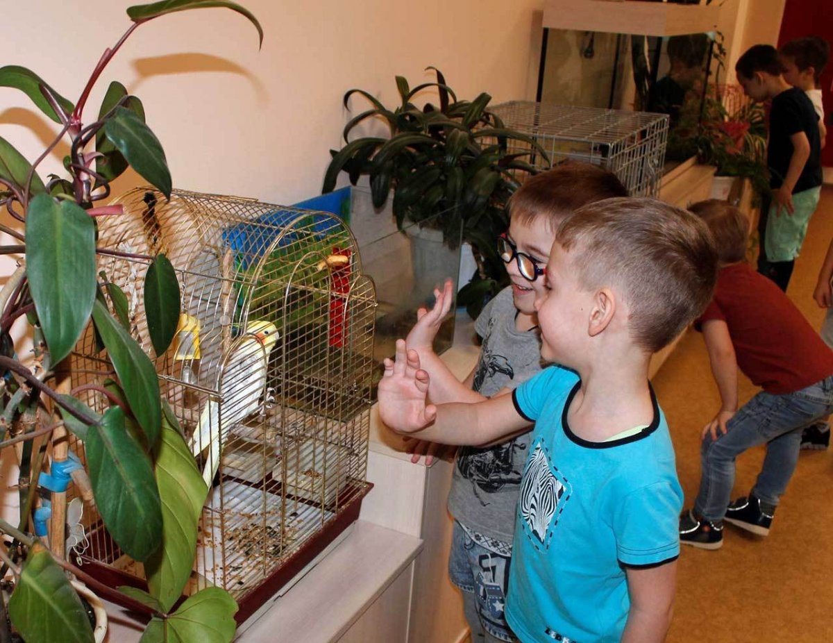 Подарок для живого уголка