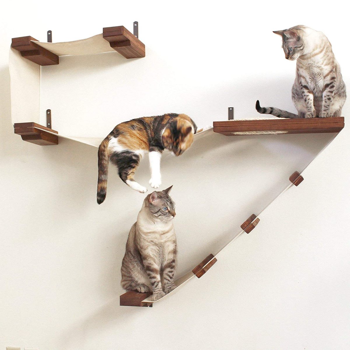 Кошачьи полки на стене