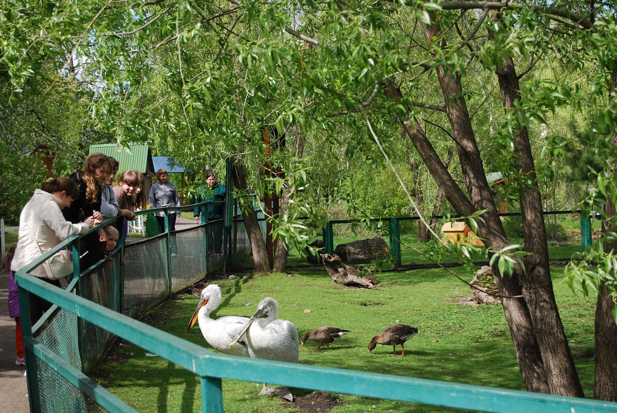 Фото красноярск роев ручей красноярск