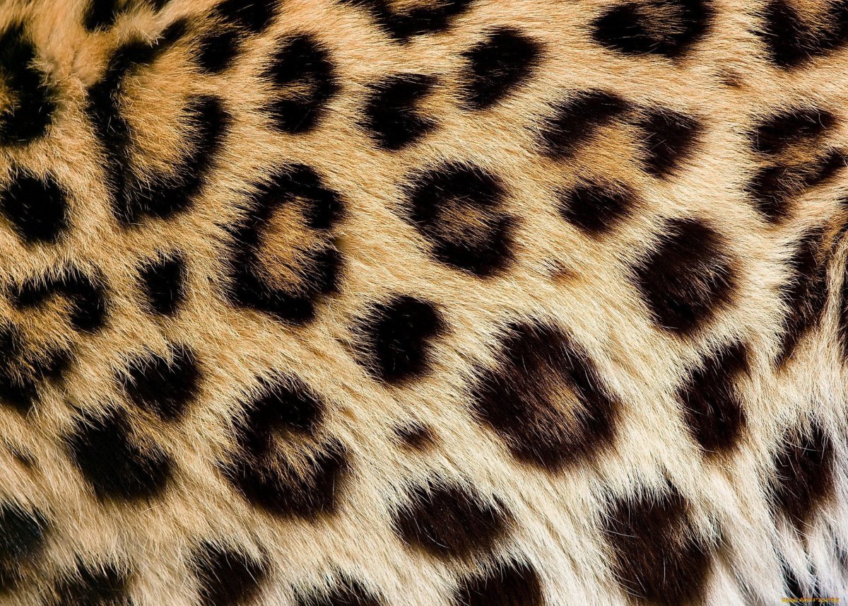 Тигровая ткань