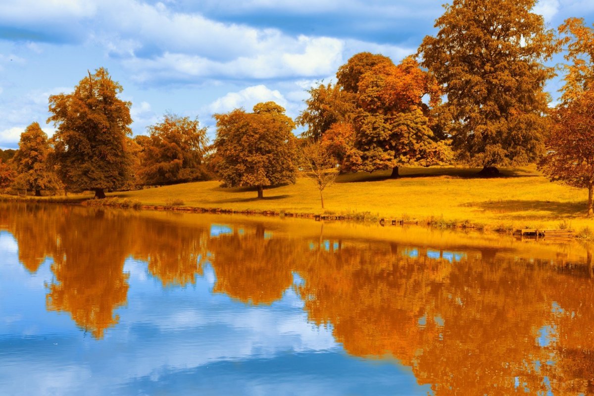 Золотая осень пейзаж