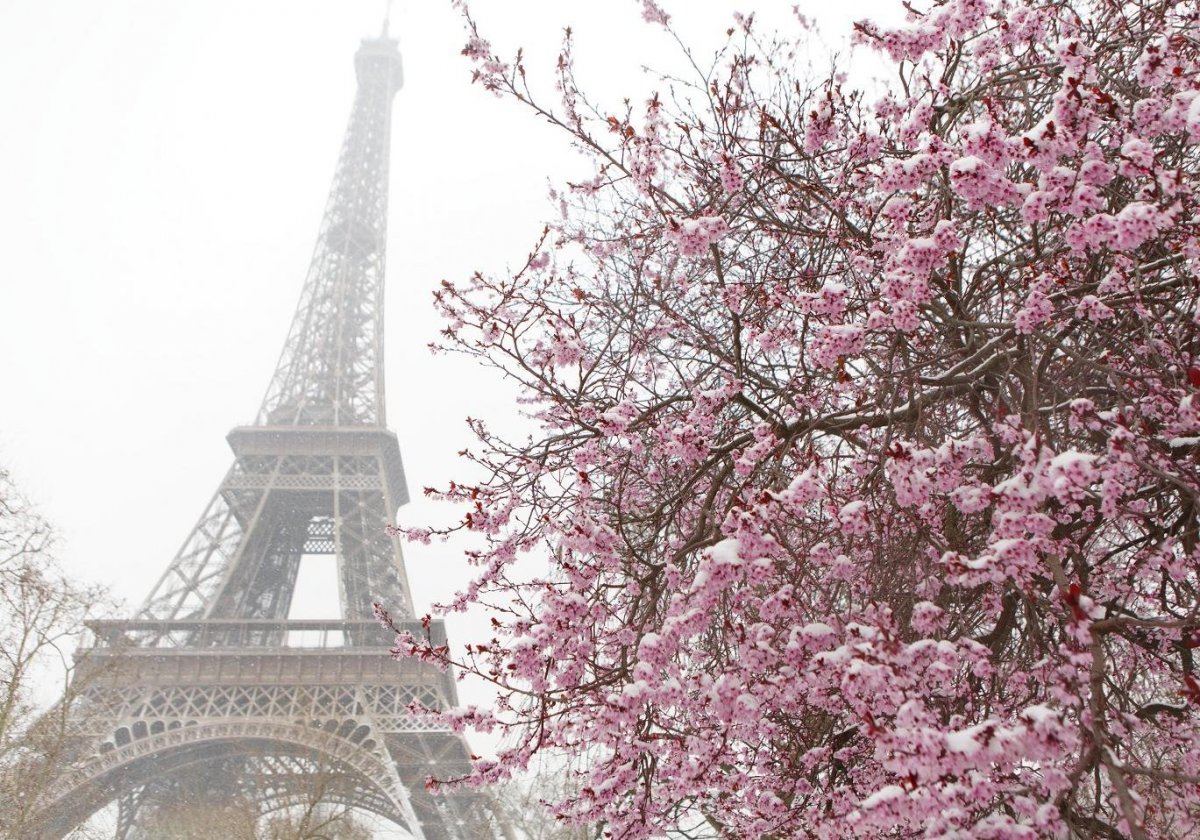 начало апреля в париже
