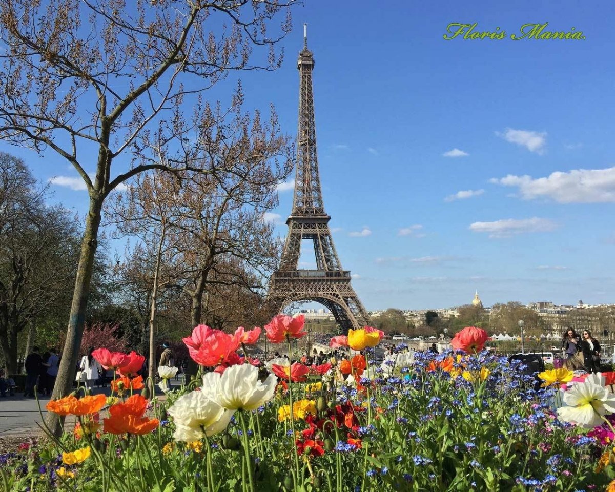 Париж весной