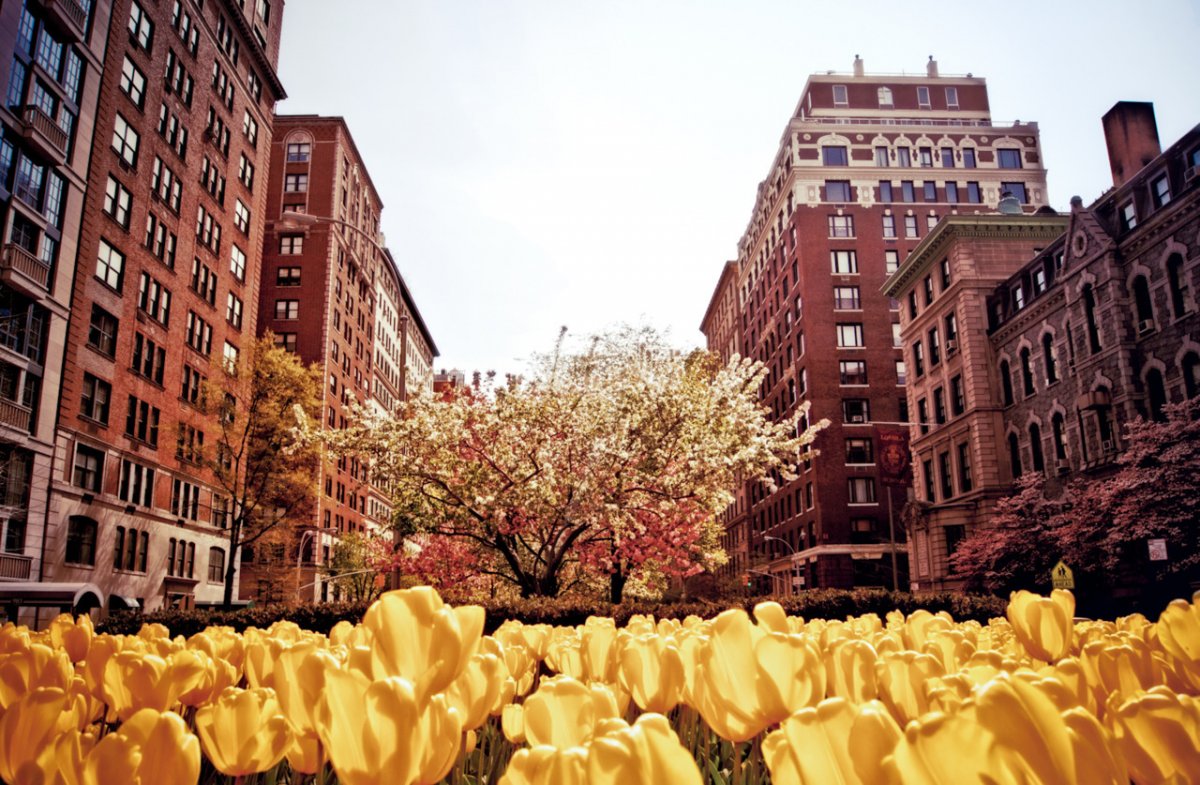 Весна в нью йорке фото