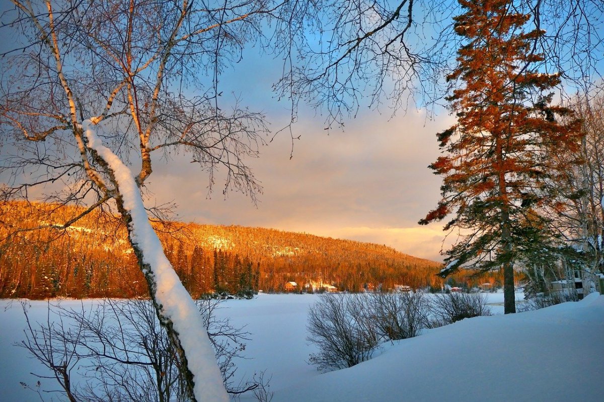 Красивые зимние пейзажи дикой природы