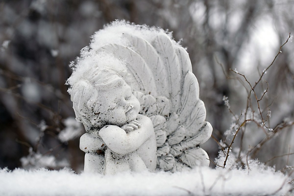 Ангел на снегу